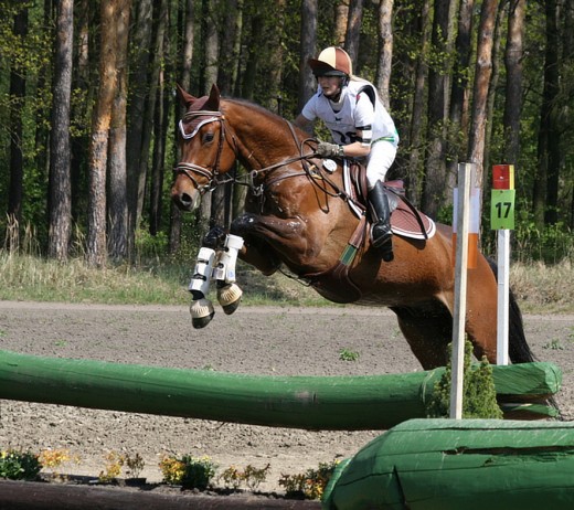 Dostihy Pardubice