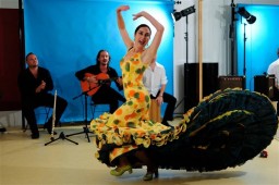 Flamenco